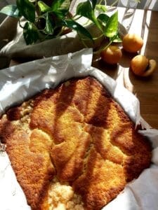 Close-up of golden baked Apricot Streusel Cake in a baking tin.