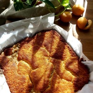 Close-up of golden baked Apricot Streusel Cake in a baking tin.